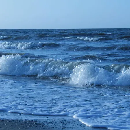 Sunlit Near Sea In *